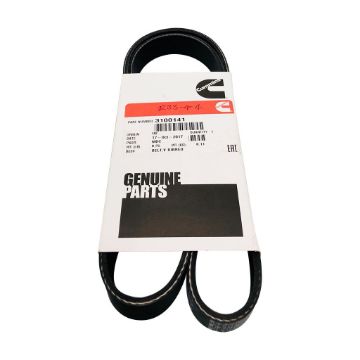 Immagine di 3100141 BELT,V RIBBED