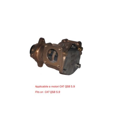 Immagine di 6813 POMPA MP 85