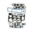Immagine di FEL17211 KIT GASKET SUP