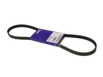 Immagine di 22352491 CINGHIA A V RINFORZATA
