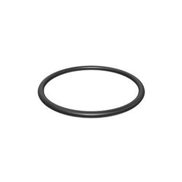Immagine di 2047844 TENUTA SEAL-O-RING