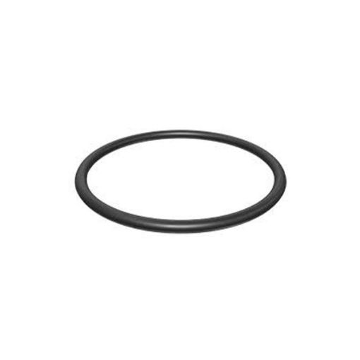 Immagine di 2047844 TENUTA SEAL-O-RING