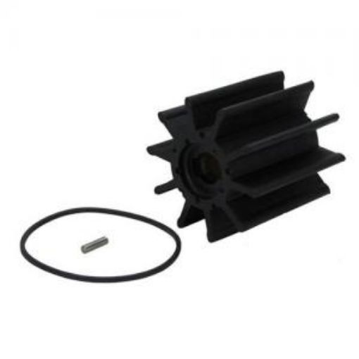 Immagine di 22000K KIT-IMPELLER