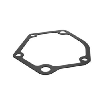 Immagine di 2P0220 GUARNIZIONE GASKET