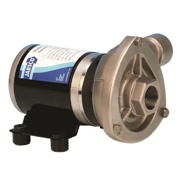 Immagine di 50840-2024 POMPA CYCLONE LP 24V BSP 50840-2024