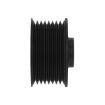 Immagine di GM52597 PULEGGIA ALTERNATORE RICA