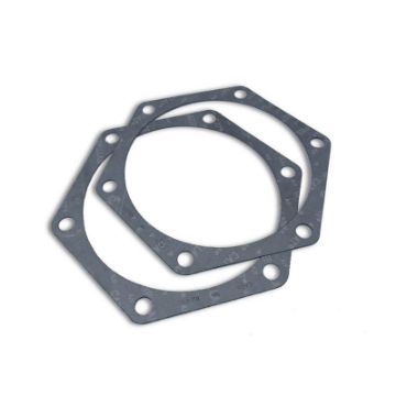 Immagine di 1058901 GUARNIZIONE GASKET