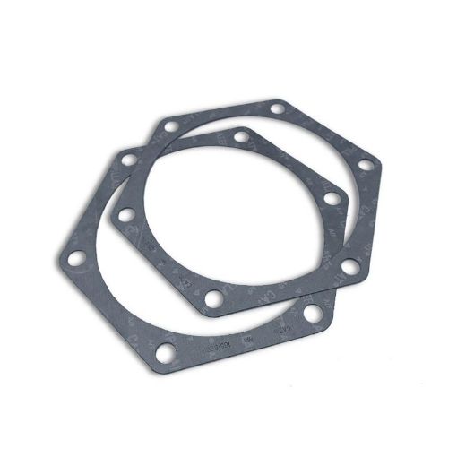 Immagine di 1058901 GUARNIZIONE GASKET