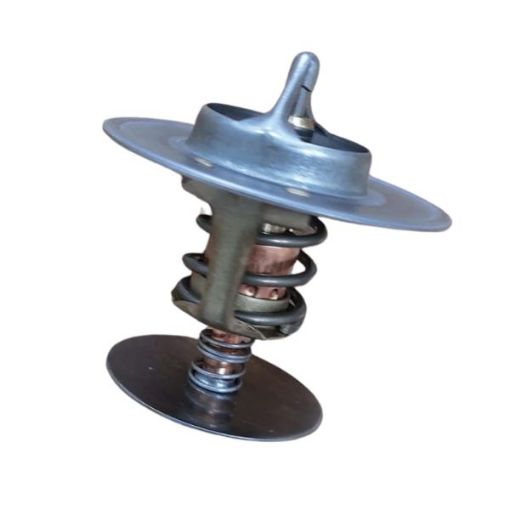 Immagine di 254920 TERMOSTATO