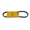 Immagine di 1L6557 CINGHIA VEE BELT