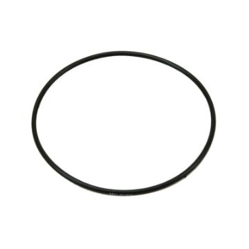 Immagine di 8T9527A SEAL