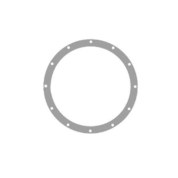 Immagine di 1115822 GUARNIZIONE GASKET