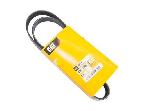 Immagine di 4387358 CINGHIA BELT