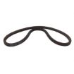 Immagine di 229125 CINGHIA PAS