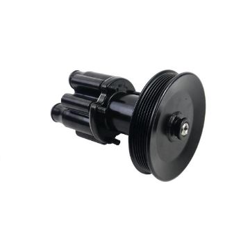 Immagine di 807151A9 PUMP ASY-SEAWATER W/PULLEY