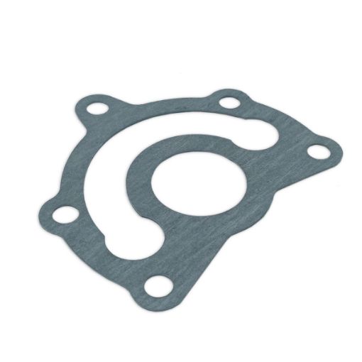 Immagine di 51.05901-0098 Guarnizione