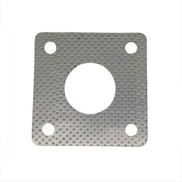 Immagine di 249905 GUARNIZIONE RAISER SCAR.