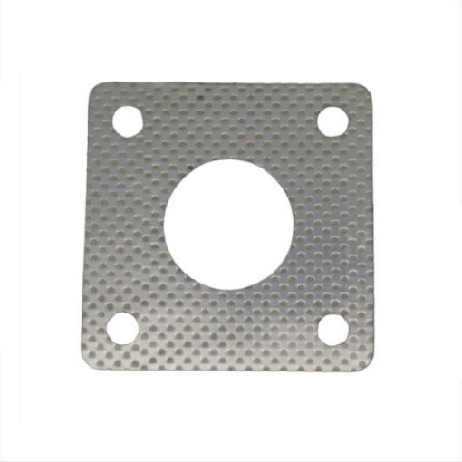 Immagine di 249905 GUARNIZIONE RAISER SCAR.