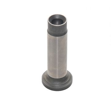 Immagine di 4646253 PUNERIA LIFTER-VALVE