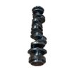 Immagine di 0R2812 CRANKSHAFT REMAN FOR 2619648