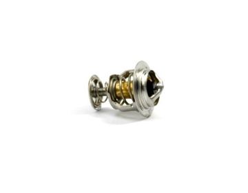 Immagine di GM47556 THERMOSTAT