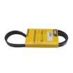 Immagine di 1981118 CINGHIA BELT