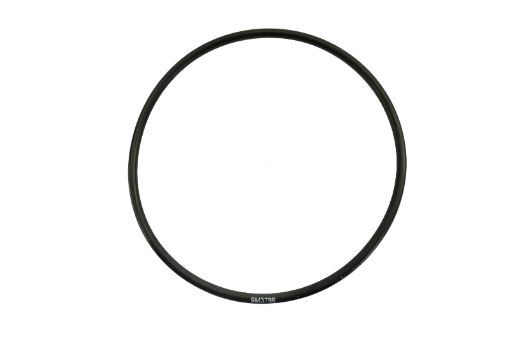 Immagine di 1090077A SEALORIN