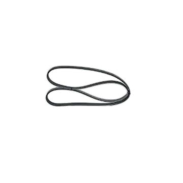 Immagine di 1981118A BELT