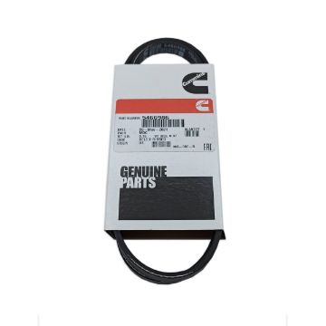 Immagine di 5466986 BELT,V RIBBED