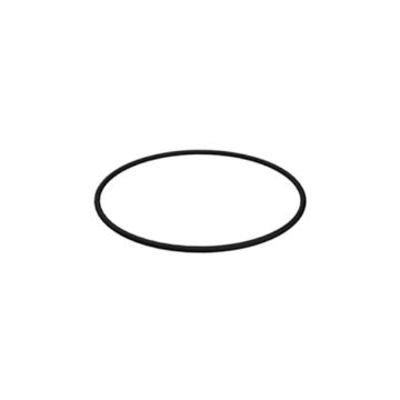 Immagine di 7X4745A SEAL O RIN