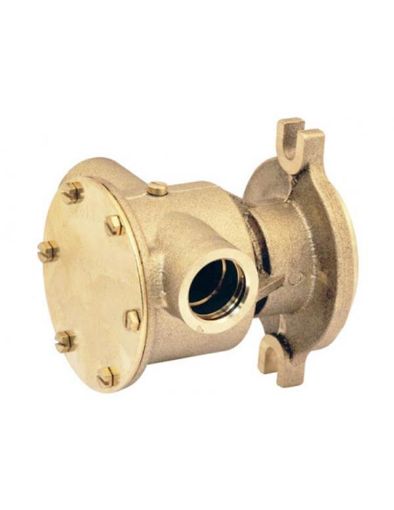 Immagine di 858469 POMPA ACQUA MARINA