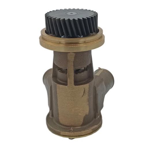 Immagine di 4255415 POMPA PUMP GP-AUX-