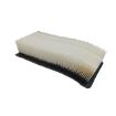 Immagine di 2656618 FILTRO FILTER-AIR