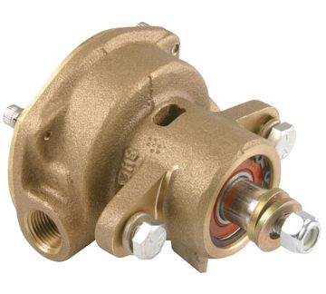 Immagine di G906 Engine Cooling Pump