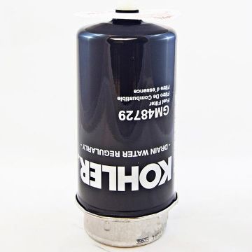 Immagine di GM48729 FILTRO GASOLIO