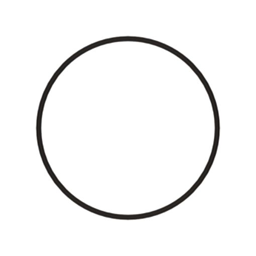 Immagine di 8M5255A SEAL O RIN