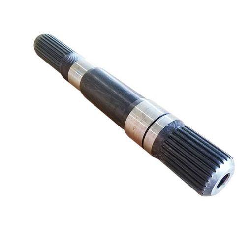 Immagine di 21736958 ALBERO