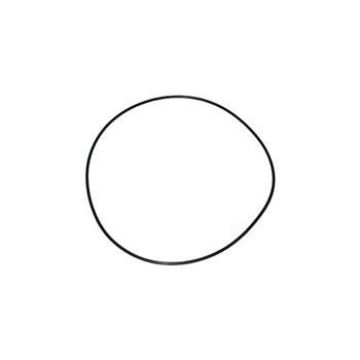 Immagine di 336031 ANELLO O-RING