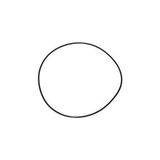 Immagine di 336031 ANELLO O-RING