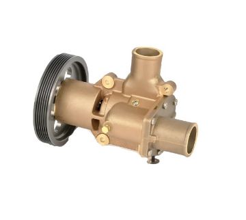 Immagine di 21380890 POMPA ACQUA MARINA