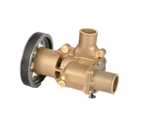 Immagine di 21380890 POMPA ACQUA MARINA