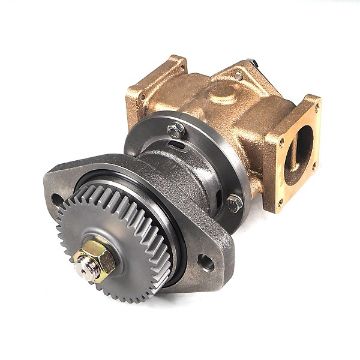 Immagine di 5445566 PUMP,SEA WATER