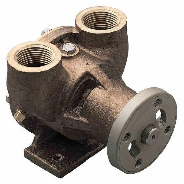Immagine di 42730-0000 Pompa in bronzo 42730-0000