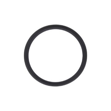 Immagine di 3103953A TENUTA