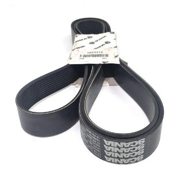 Immagine di 1923312 CINGHIA LEHMA 10PK2630