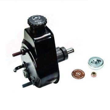 Immagine di 16792A39 PUMP P/S-W/O PLLY