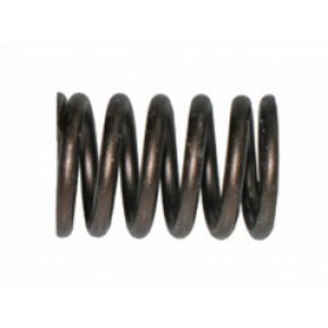 Immagine di 1944902A SPRING-VALVE