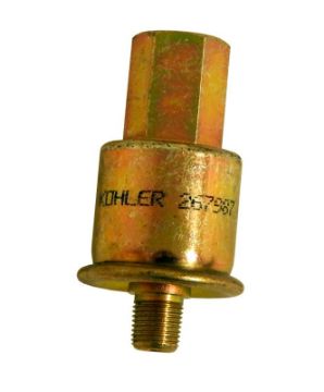 Immagine di 267987 FILTRO BENZINA