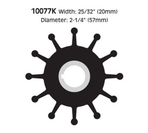 Immagine di 10077K KIT IMPELLER