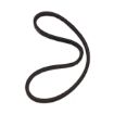 Immagine di 229125 CINGHIA PAS